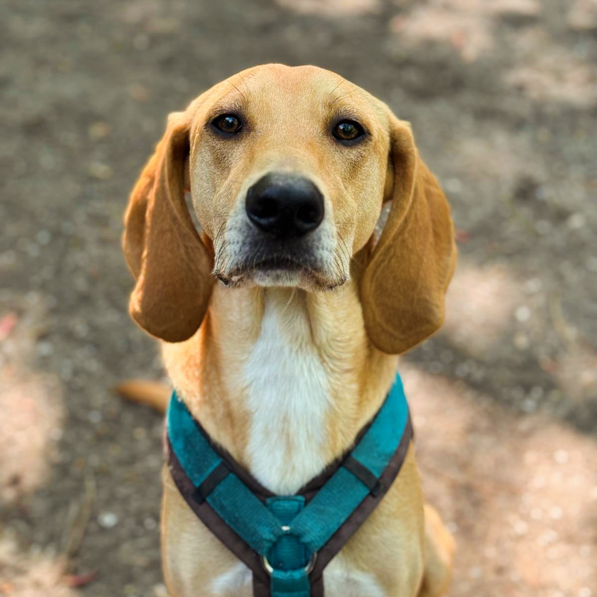 Profielfoto van Mack